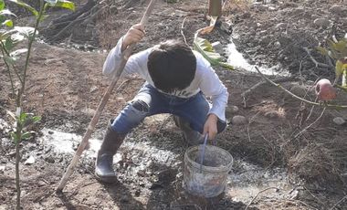 Terreno 2500m² Para casa de Campo Cercado