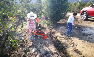 Terreno 2500m² Para casa de Campo Cercado