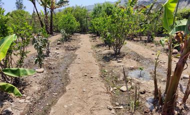 Terreno 2500 m² Para casa de de Campo (Sin cerco)