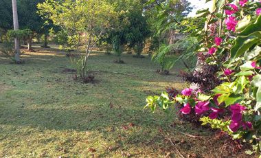 LOTE ESQUINERO EN ROZO