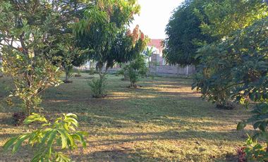 LOTE ESQUINERO EN ROZO