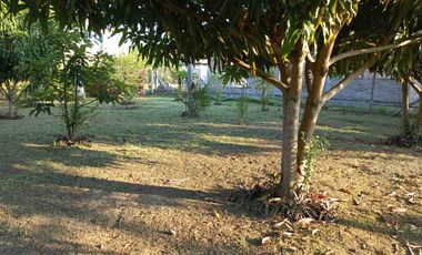 LOTE ESQUINERO EN ROZO