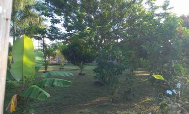 LOTE ESQUINERO EN ROZO