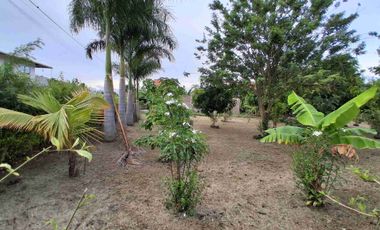 LOTE ESQUINERO EN ROZO