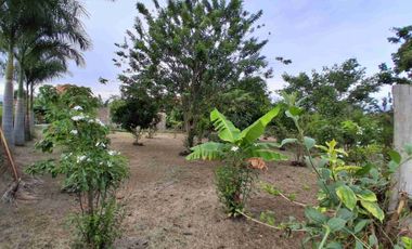 LOTE ESQUINERO EN ROZO