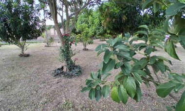 LOTE ESQUINERO EN ROZO