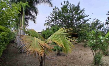 LOTE ESQUINERO EN ROZO