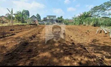 Ready tanah kavling murah pakis jajar malang