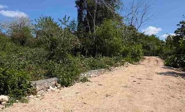 Dijual Murah Tanah 400m2 Cocok Untuk Investasi