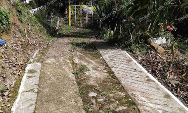 Se vende o se permuta casa finca en san rafael vda la samaria
