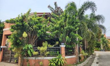 House and Lot For Sale at La Vecina Dos Rios (Camella)