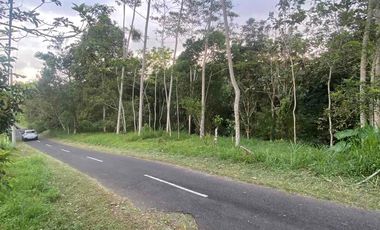 jual tanah Taro payangan dekat Ubud