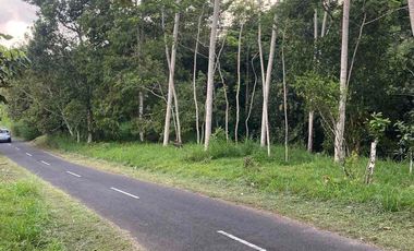 jual tanah Taro payangan dekat Ubud
