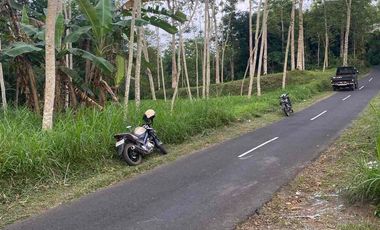 jual tanah Taro payangan dekat Ubud