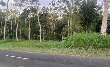 jual tanah Taro payangan dekat Ubud