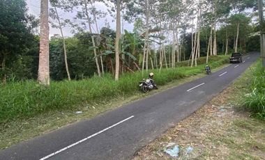 jual tanah Taro payangan dekat Ubud