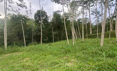 jual tanah Taro payangan dekat Ubud