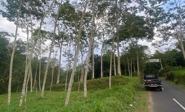 jual tanah Taro payangan dekat Ubud