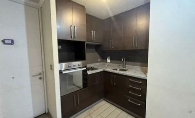 Arriendo Departamento 1d+1b Metro Mirador