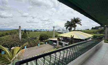 FINCA EN VENTA  ALTAGRACIA PEREIRA