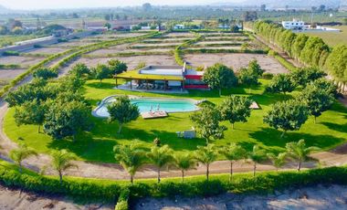 🥑🌳TERRENOS DE CAMPO EN CONDOMINIO LAS BANDURRIAS DE QUILMANÁ🌳🥑