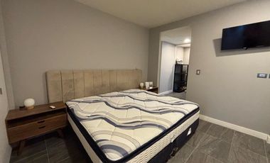 En Renta Loft de Lujo Amueblado en D1 en Piso 5 con 1 Recamara