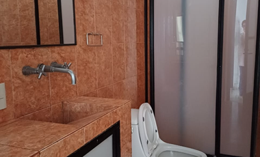 Renta casa Metepec , zona la Asunción