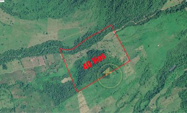 Venta Finca en Bucay 40 hectáreas - Guayas - F043