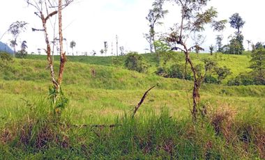 Venta Finca en Bucay 40 hectáreas - Guayas - F043