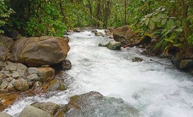 Venta Finca en Bucay 40 hectáreas - Guayas - F043