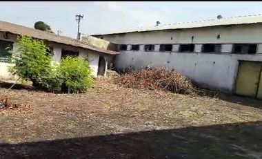 Dijual dan disewakan Gudang Zona Industri Lokasi Klaten Luas 6000m2