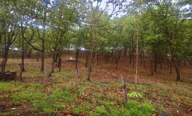 RANCHO EN VENTA EN QUILA AMECA