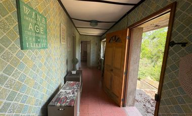 Proyecto comercial en Olmué