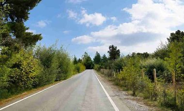 Parcelas de 5.000 m² con Bosque Nativo desde $15.990.000, en Parral.