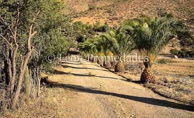 Leon Propiedades vende parcela con casa en sector Alhue, a orilla de camino principal, Curacaví.