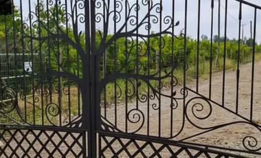 Venta de Parcelas Agrícola en Codegua – Sector La Leonera 5.000m2