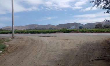 ¡Oportunidad Única! Terreno Agrícola de 3,753 m² en la Exclusiva Ruta a Calango