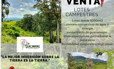 VENDO Y/O PERMUTO LOTE CAMPESTRE