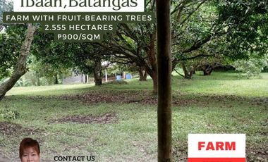 Beautiful Farm in Ibaan, Batangas with Lush Fruit-Bearing Trees - Perfect for Nature Lovers and Agricultural Enthusiasts!