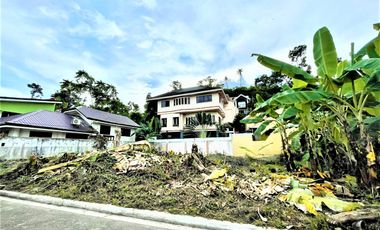 Lot For Sale in Sunny Hills Talamaban Cebu City