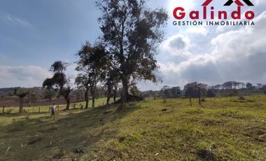 VENTA DE TRES CUARTOS DE HECTAREA EN LA ZONA DE SAN MIGUEL DEL SOLDADO