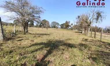 VENTA DE TRES CUARTOS DE HECTAREA EN LA ZONA DE SAN MIGUEL DEL SOLDADO