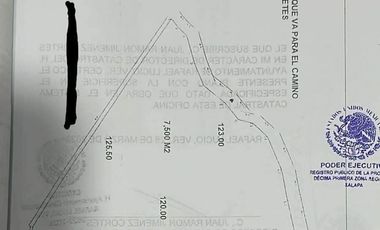 VENTA DE TRES CUARTOS DE HECTAREA EN LA ZONA DE SAN MIGUEL DEL SOLDADO