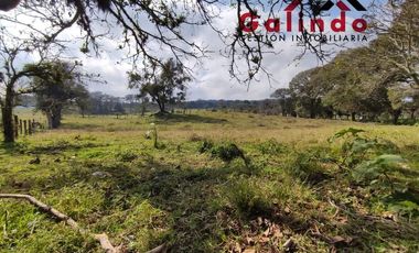 VENTA DE TRES CUARTOS DE HECTAREA EN LA ZONA DE SAN MIGUEL DEL SOLDADO