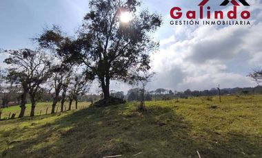 VENTA DE TRES CUARTOS DE HECTAREA EN LA ZONA DE SAN MIGUEL DEL SOLDADO
