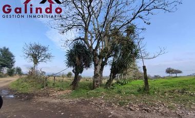VENTA DE TRES CUARTOS DE HECTAREA EN LA ZONA DE SAN MIGUEL DEL SOLDADO