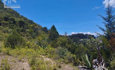 TERRENO CON MUY BONITA VISTA EN MINERAL DEL MONTE PUEBLO MÁGICO.