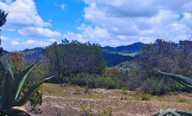 TERRENO CON MUY BONITA VISTA EN MINERAL DEL MONTE PUEBLO MÁGICO.