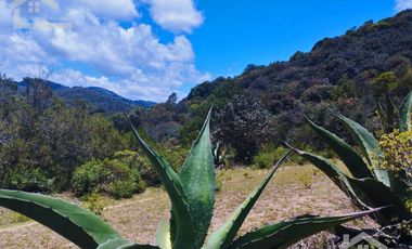 TERRENO CON MUY BONITA VISTA EN MINERAL DEL MONTE PUEBLO MÁGICO.