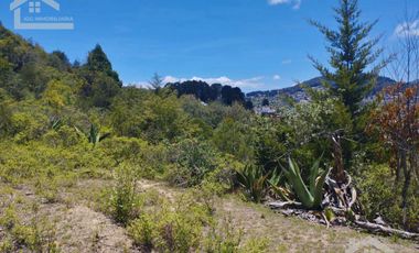 TERRENO CON MUY BONITA VISTA EN MINERAL DEL MONTE PUEBLO MÁGICO.